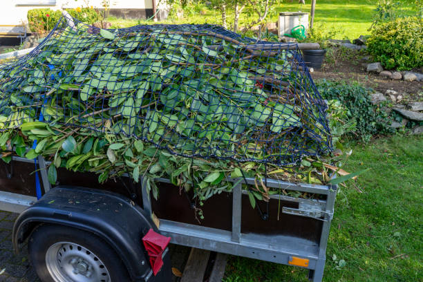 Best Electronics and E-Waste Disposal  in Freeland, MI